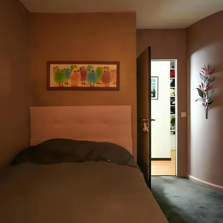 Appartement Cosy Roi Albert